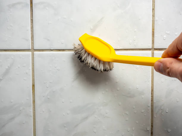 Best Office Mold Removal Services  in Gaylord, MI
