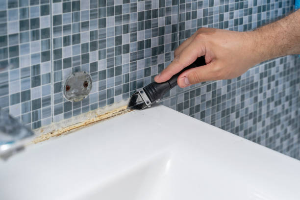 Best Local Mold Removal Service  in Gaylord, MI